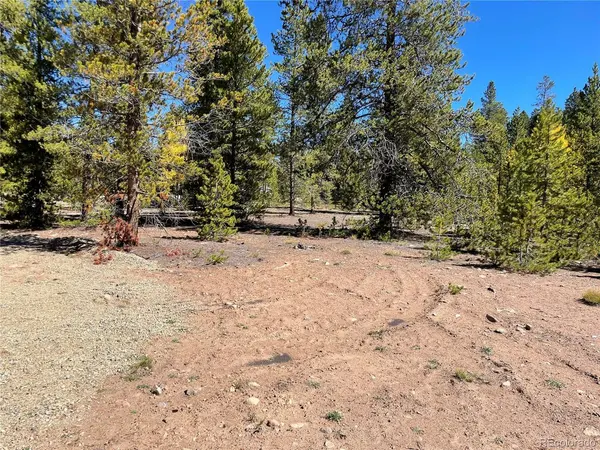 500 Virginia, Leadville, CO 80461