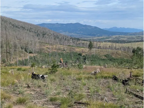 904 Ueda, Fort Garland, CO 81133