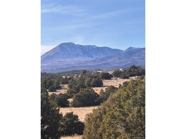 Address not disclosed, Walsenburg, CO 81089