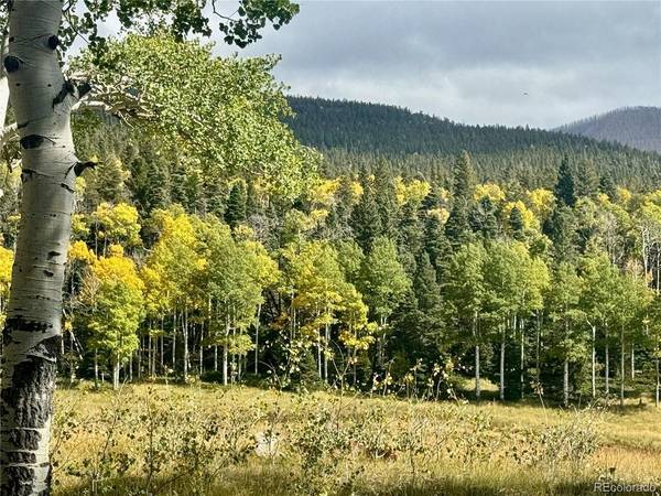 2843 Wendt, Fort Garland, CO 81133