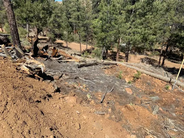 15421 Westcreek, Woodland Park, CO 80863