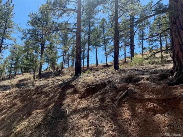 15421 Westcreek, Woodland Park, CO 80863