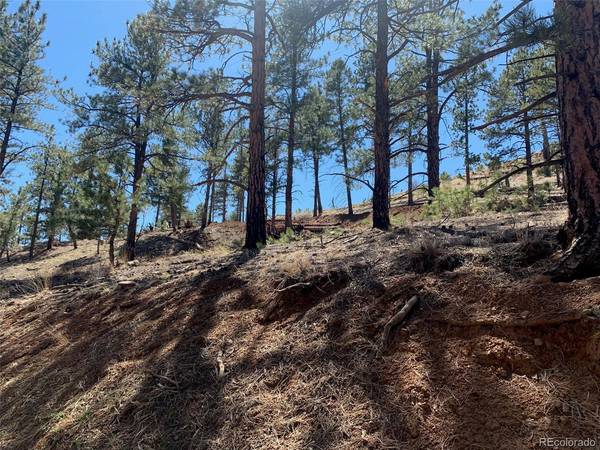 15421 Westcreek, Woodland Park, CO 80863