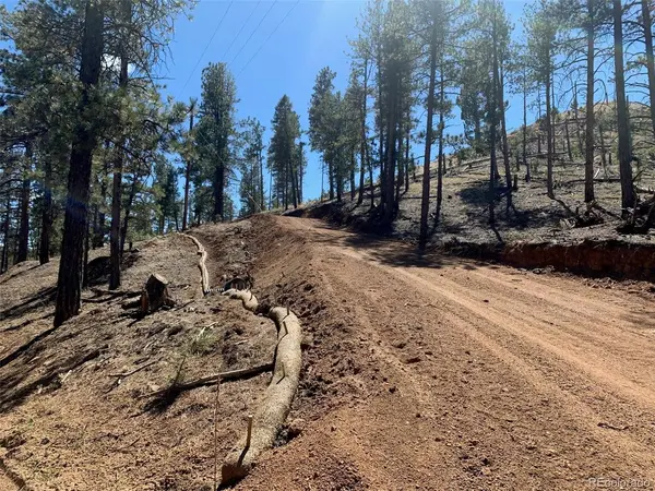 15421 Westcreek, Woodland Park, CO 80863