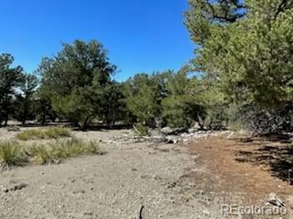 15 Mill Run, Mosca, CO 81146