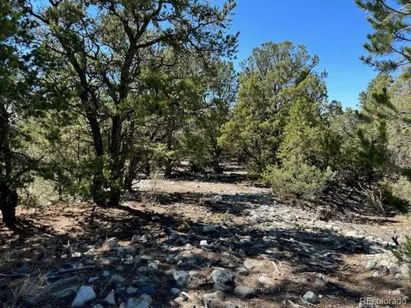 15 Mill Run, Mosca, CO 81146