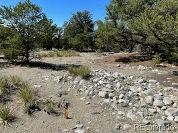 15 Mill Run, Mosca, CO 81146