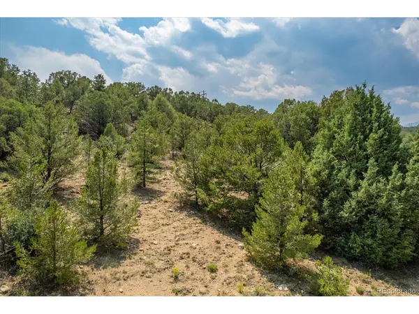 7925 Cozart, Salida, CO 81201