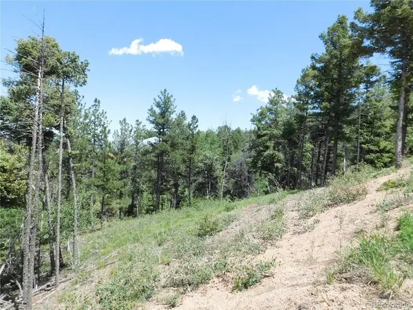13670 Spruce Creek, Larkspur, CO 80118