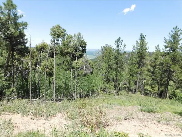 13670 Spruce Creek, Larkspur, CO 80118