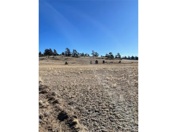 1260 Goldenburg Canyon, Hartsel, CO 80449