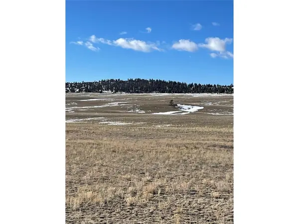 1260 Goldenburg Canyon, Hartsel, CO 80449