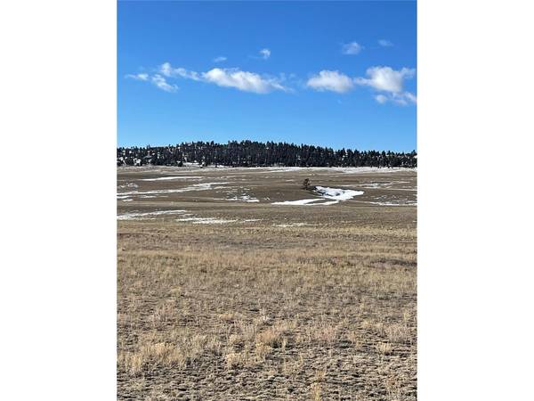 1260 Goldenburg Canyon, Hartsel, CO 80449