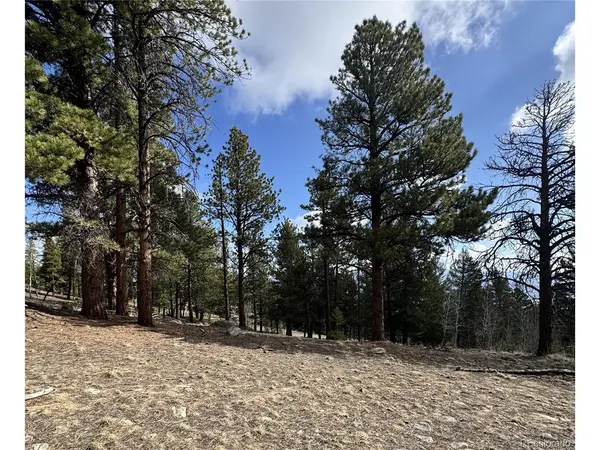 30317 Aspen Turn, Buena Vista, CO 81211