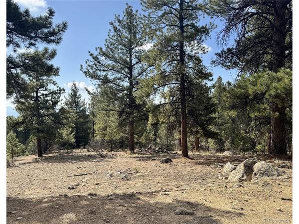 30317 Aspen Turn, Buena Vista, CO 81211