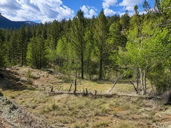 639 Spade, Jefferson, CO 80456