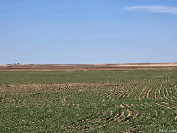 0 CR K, Haswell, CO 81045