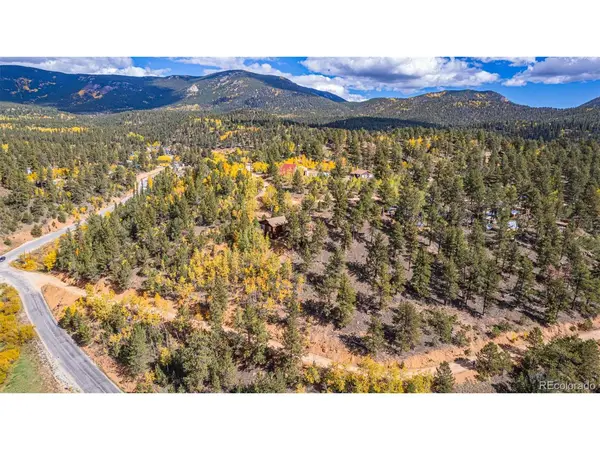 103 Gross, Bailey, CO 80421