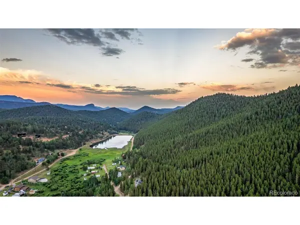 103 Gross, Bailey, CO 80421