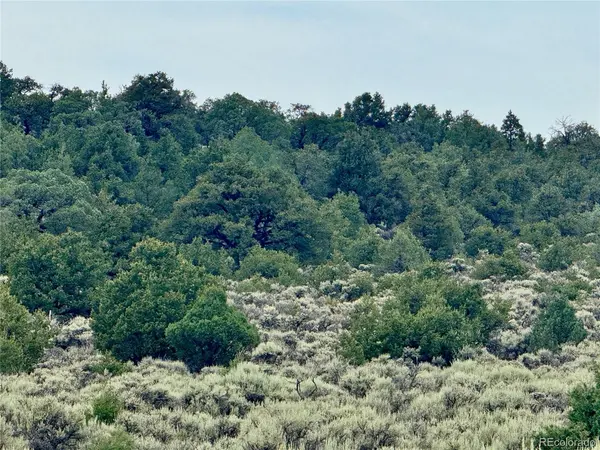 38 WildHorse, San Luis, CO 81152