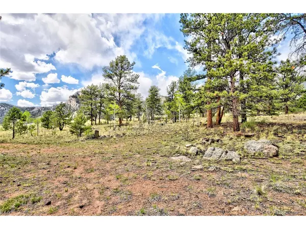 490 Teller, Lake George, CO 80827