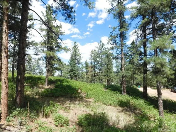 8055 Acoma, Larkspur, CO 80118