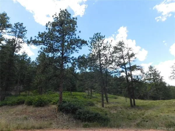 8055 Acoma, Larkspur, CO 80118