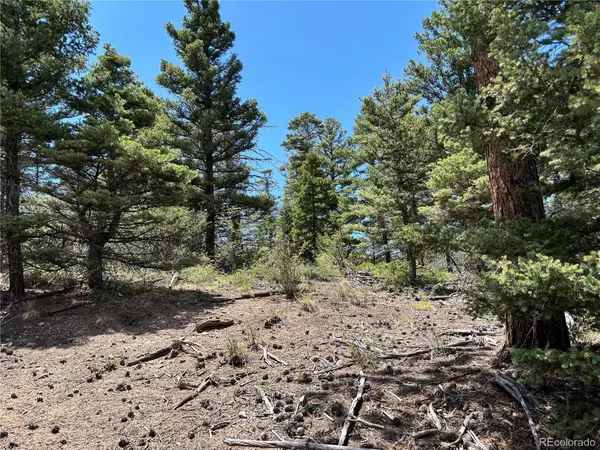 0 Sesame, Fort Garland, CO 81133