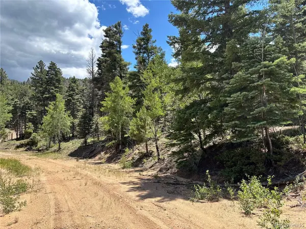 0 Sesame, Fort Garland, CO 81133