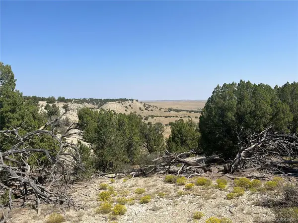 90 Railroad Springs, Pueblo, CO 81004