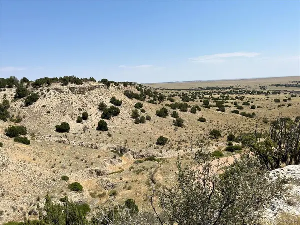 90 Railroad Springs, Pueblo, CO 81004