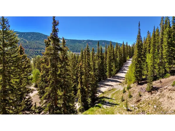 797 Peterson, Fairplay, CO 80440