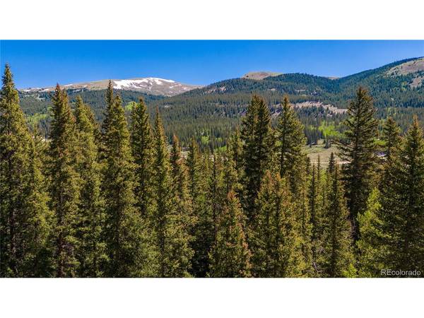 797 Peterson, Fairplay, CO 80440