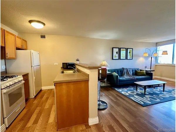 1196 N Grant #407, Denver, CO 80203