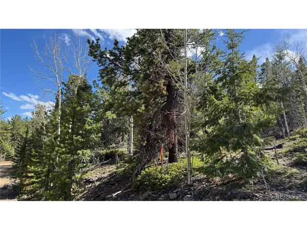 5 Pewabic Mine, Central City, CO 80427