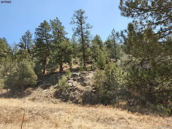 1314 Arnold, Cotopaxi, CO 81223