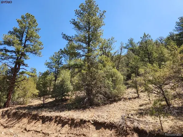 1314 Arnold, Cotopaxi, CO 81223