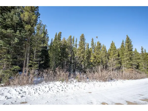 112 Deer, Idaho Springs, CO 80452