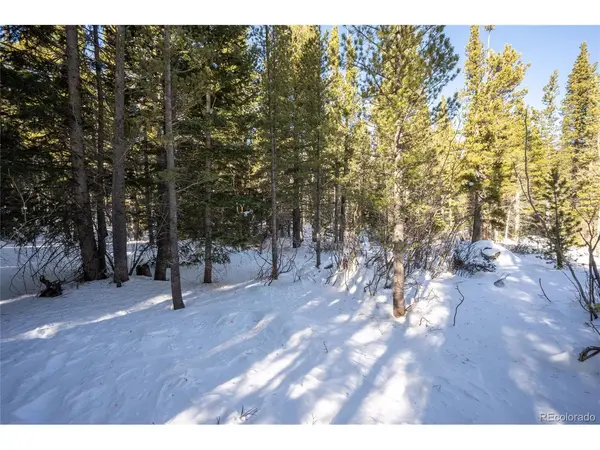 112 Deer, Idaho Springs, CO 80452