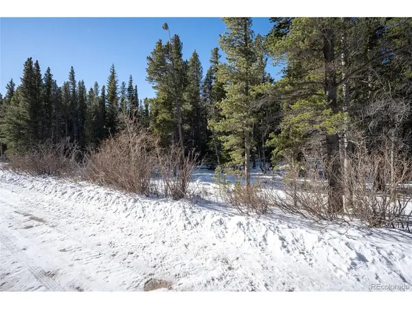112 Deer, Idaho Springs, CO 80452