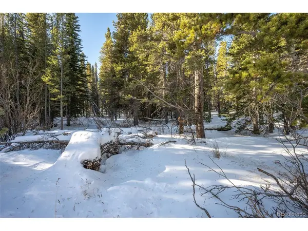 112 Deer, Idaho Springs, CO 80452