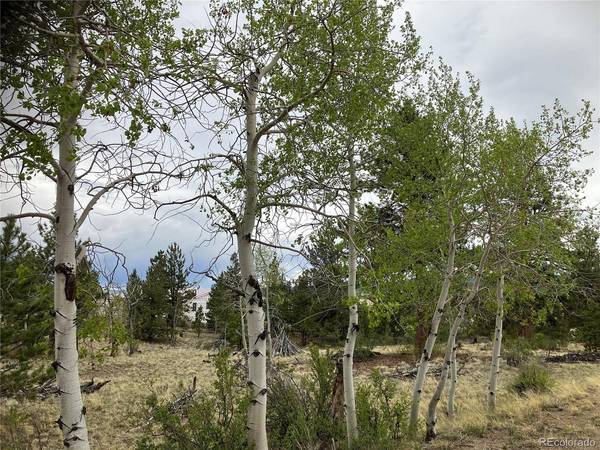 256 Bandana, Hartsel, CO 80449