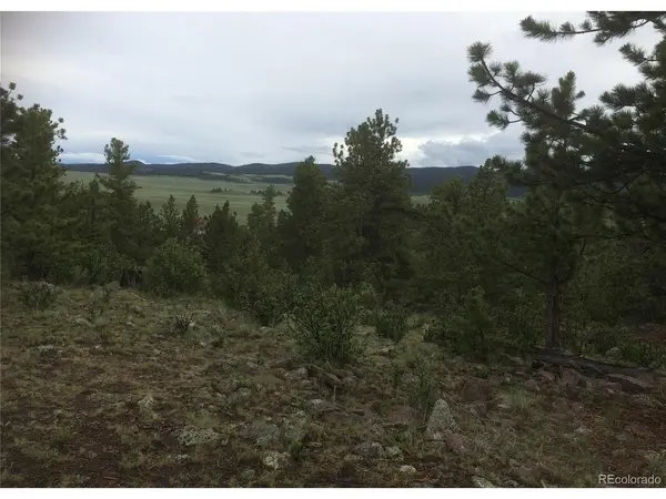 256 Bandana, Hartsel, CO 80449