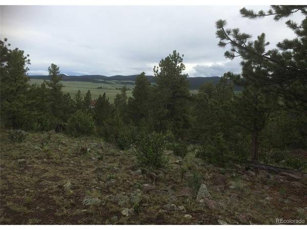 256 Bandana, Hartsel, CO 80449