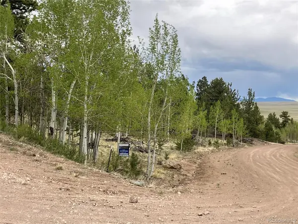 256 Bandana, Hartsel, CO 80449