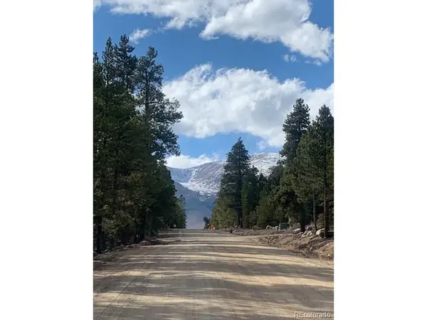 180 Peak View, Leadville, CO 81251