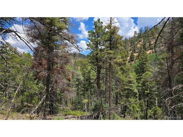 5540 Joy, Fort Garland, CO 81133