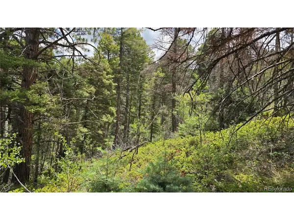 5540 Joy, Fort Garland, CO 81133