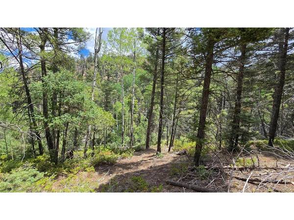 5540 Joy, Fort Garland, CO 81133
