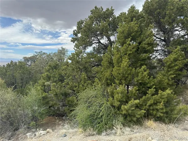 338 Cedar Ridge, Mosca, CO 81146